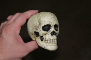 Foam skull purchased for $1.50.